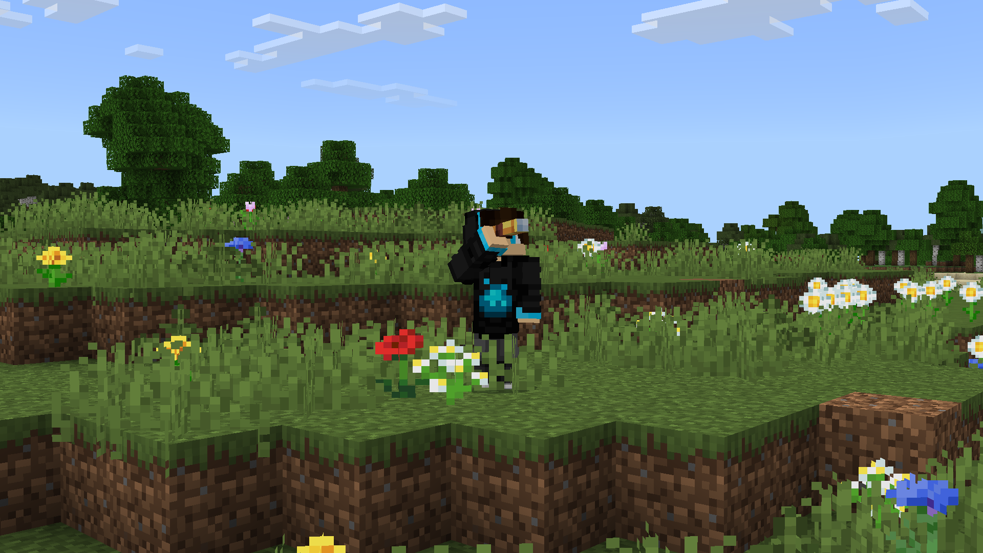 Imagem do servidor Fire Craft